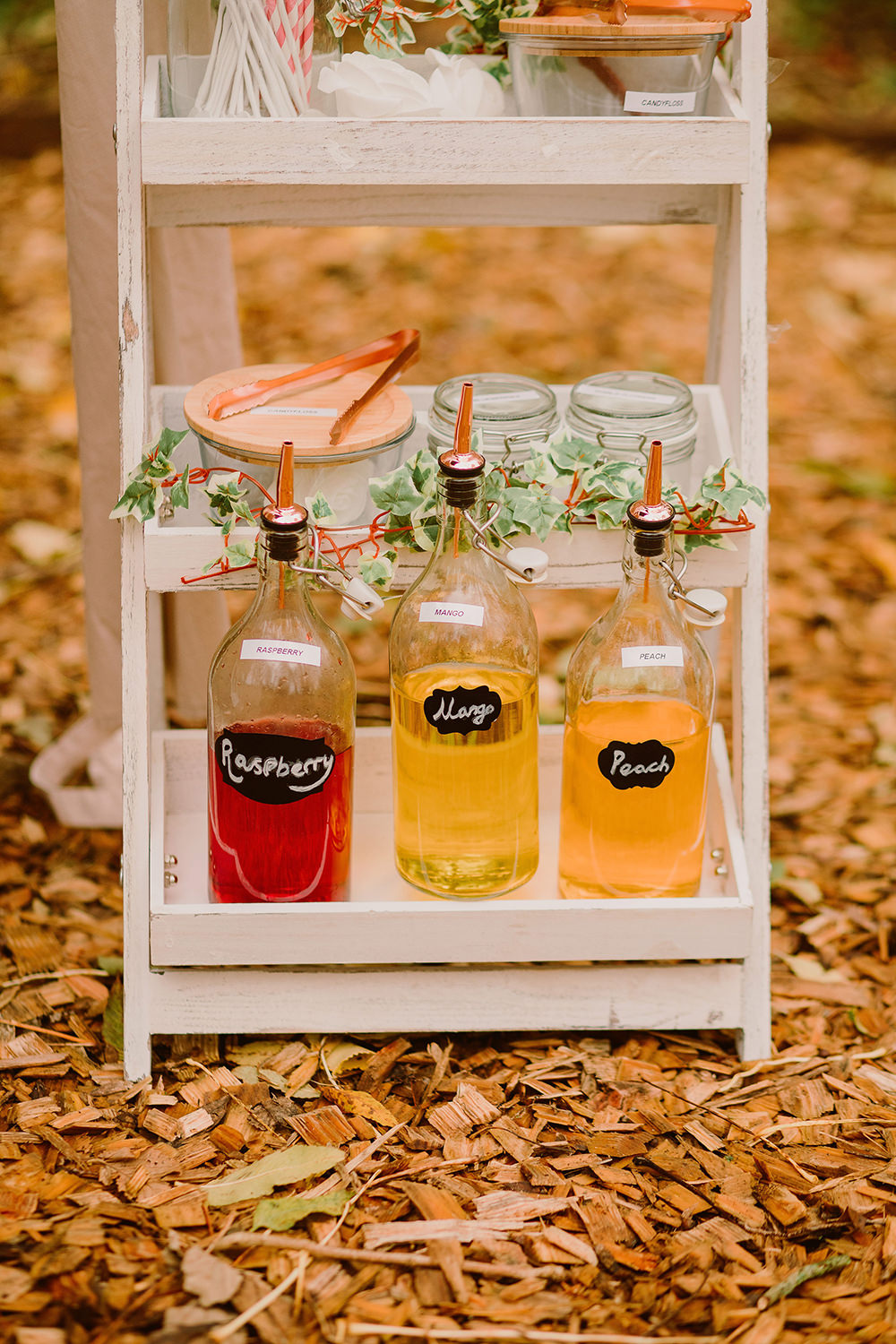 Wooden Ladder Drinks Pimp Your Prosseco Outdoor Autumn Wedding Ruby Walker Photography
