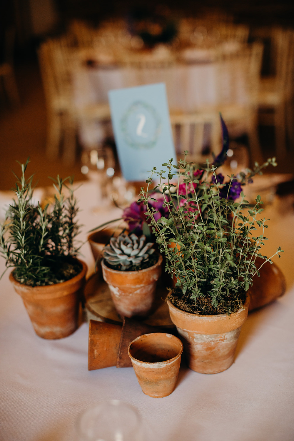 Centrepiece Decor Table Pot Plants Herbs Hornington Manor Wedding Richard Skins Photography