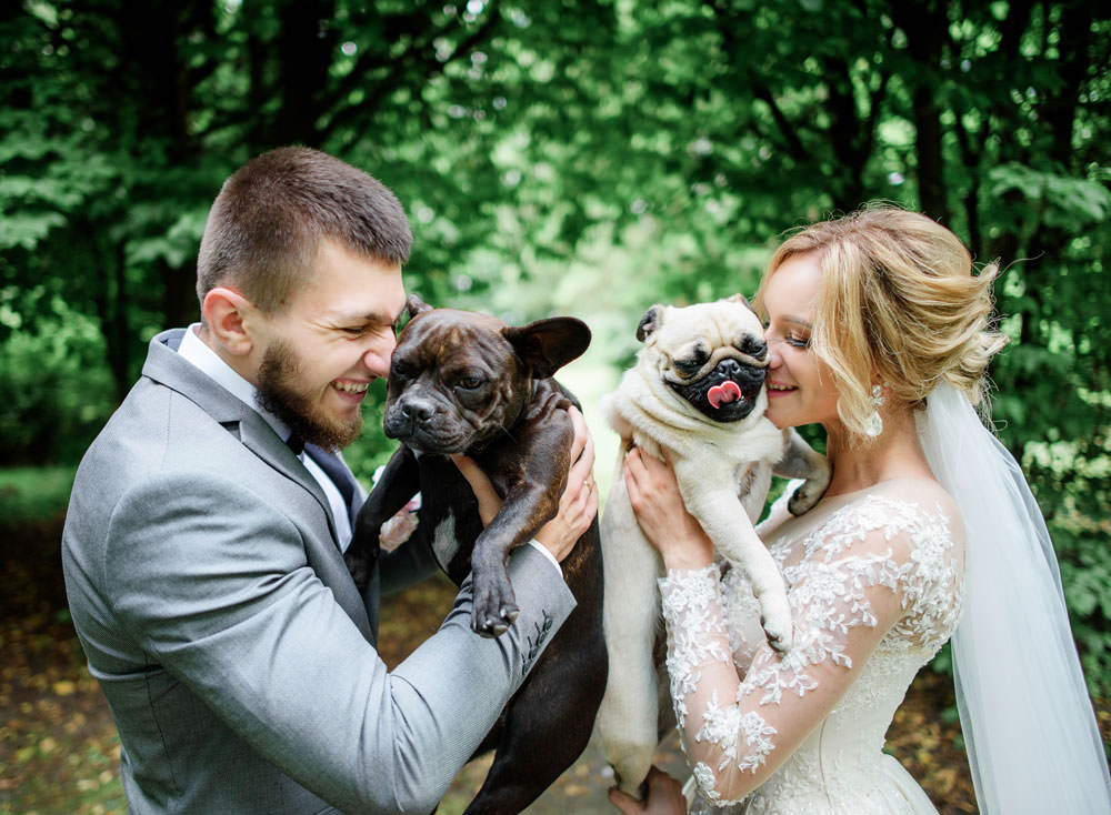 Wedding Venues County Durham