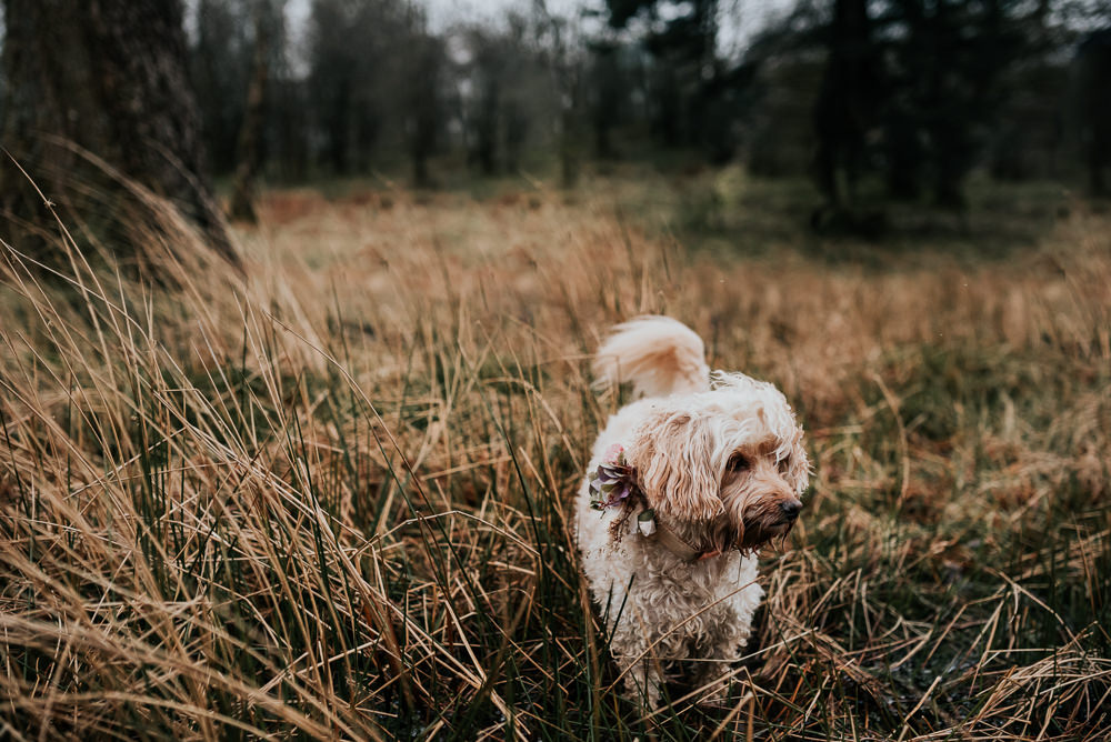 Lake District Elopement Jenny Appleton Photography
