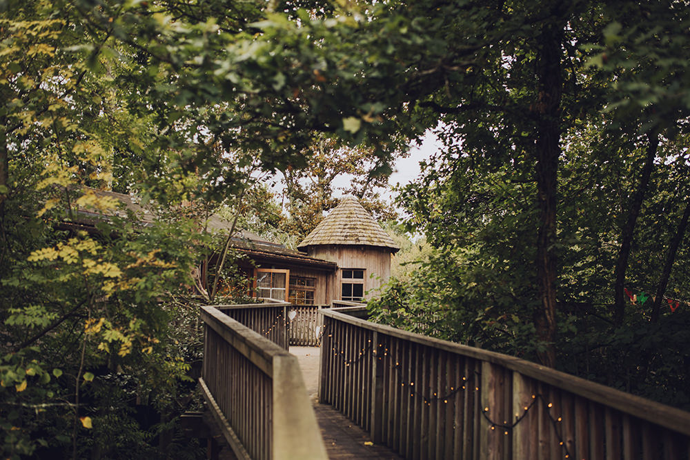 Treehouse Wedding Honeydew Moments