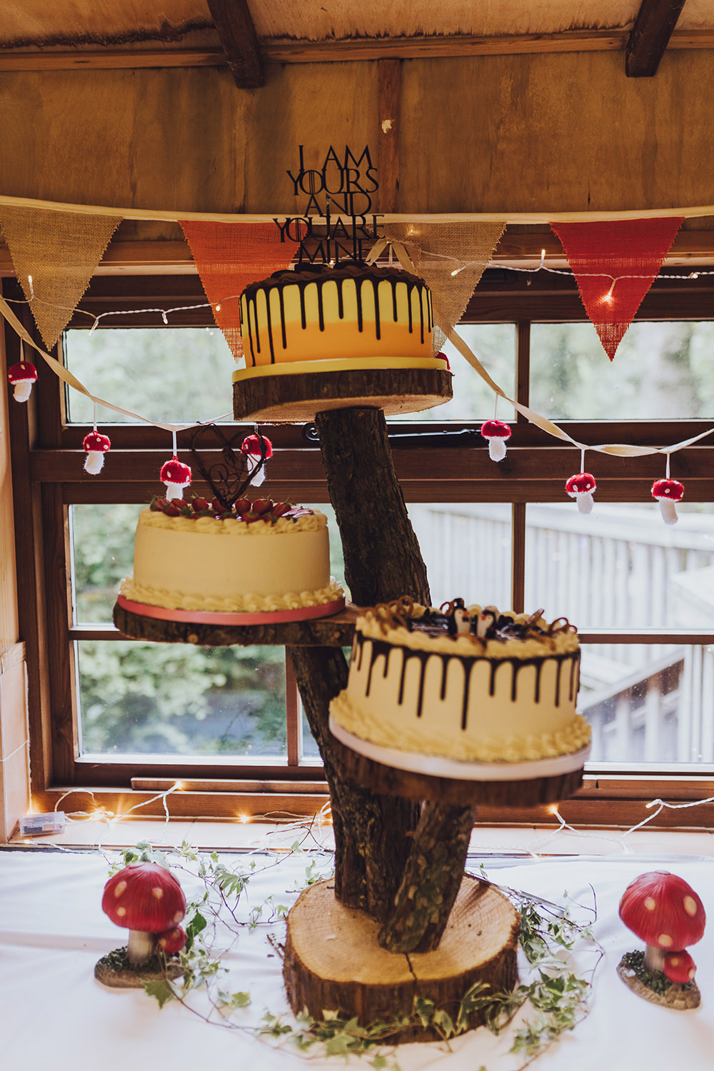 Drip Cake Log Stand Treehouse Wedding Honeydew Moments