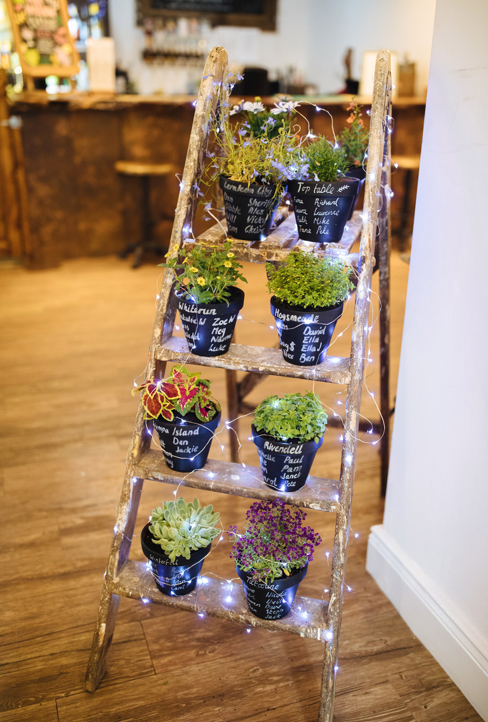 Table Plan Seating Chart Pot Plant Wooden Ladder Two Woods Estate Wedding Laura Debourde Photography