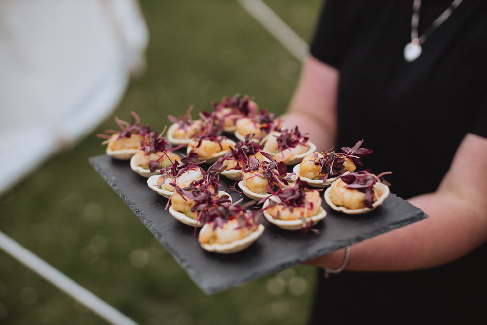 Canapes Marquee Wedding Wales Fox & Bear Photography