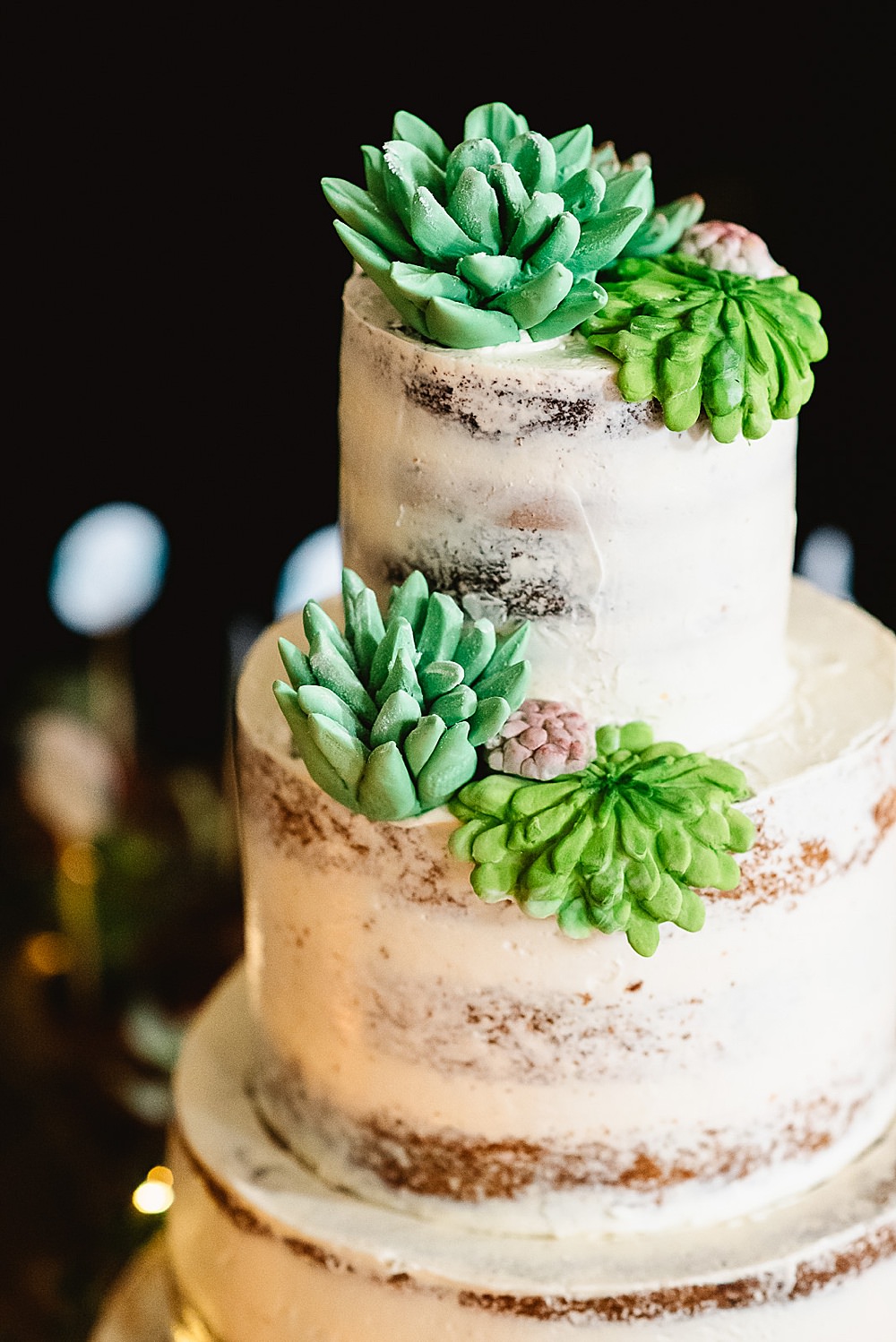 Semi Naked Cake Succulent South London Wedding Fiona Kelly Photography