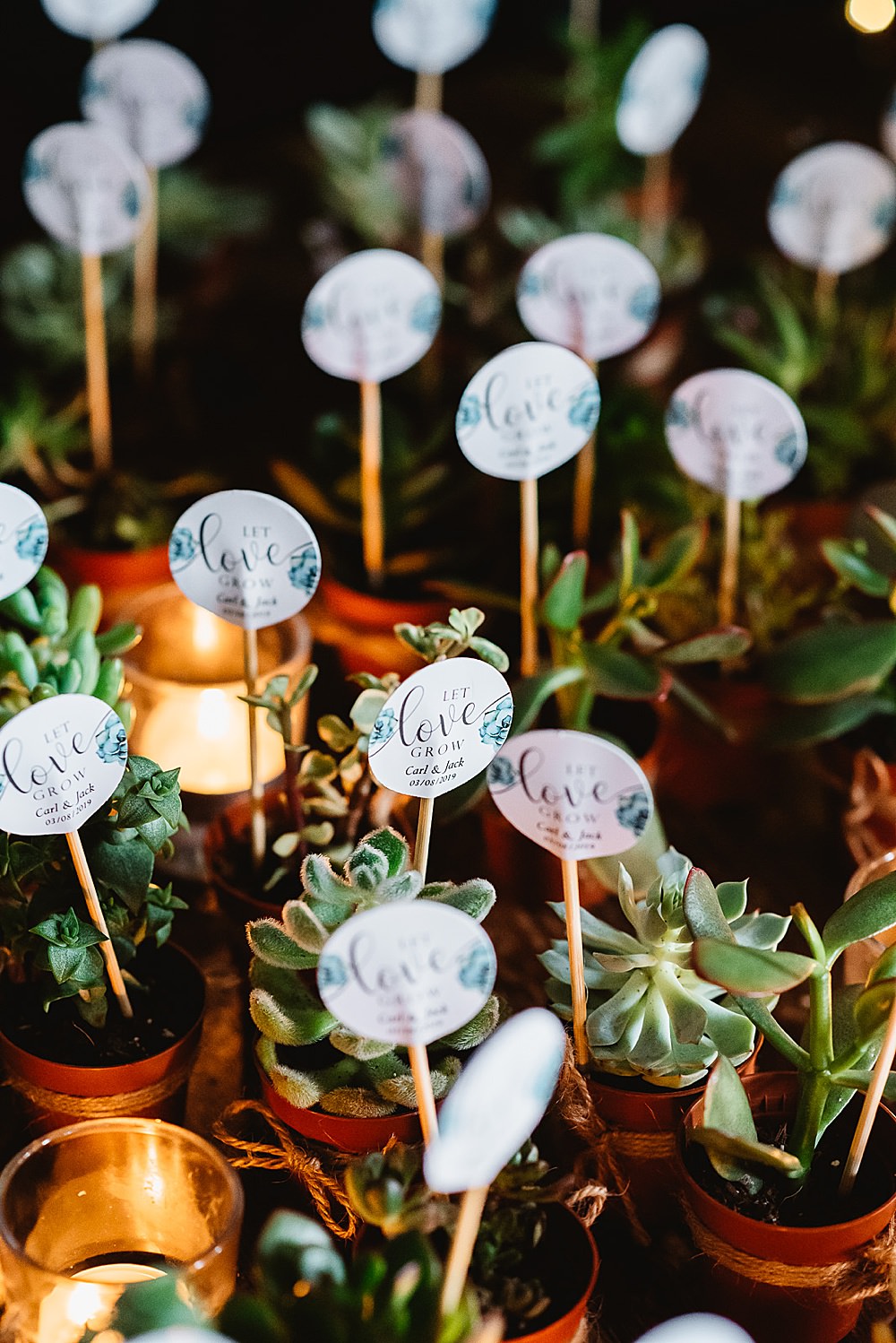 Succulent Favours South London Wedding Fiona Kelly Photography