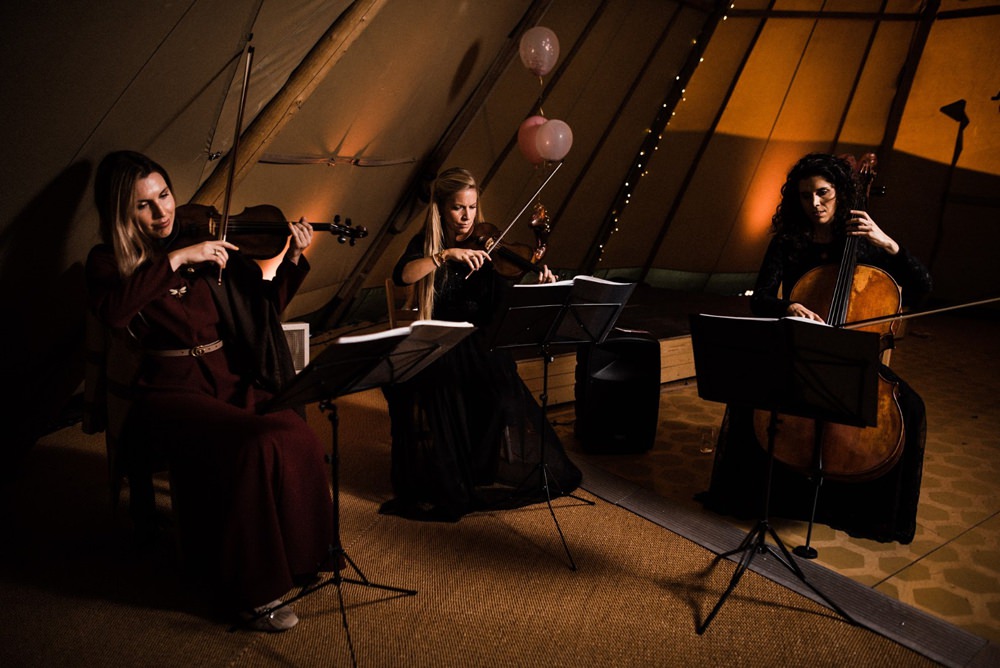 Halo Strings Classic Music Entertainment Live UK