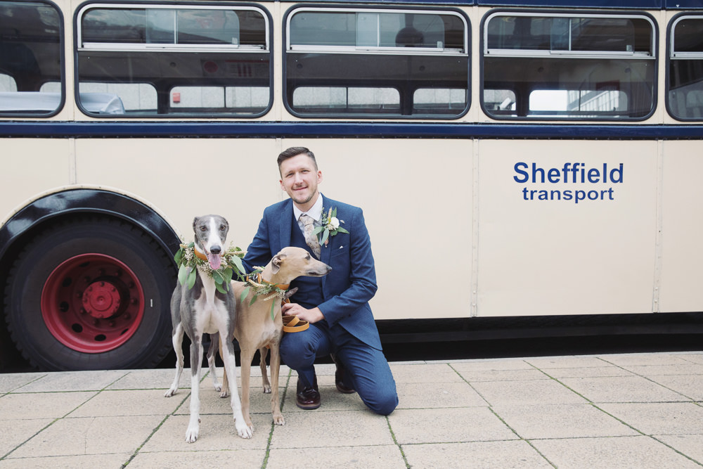 Dogs Pets Hide Sheffield Wedding Sasha Lee Photography
