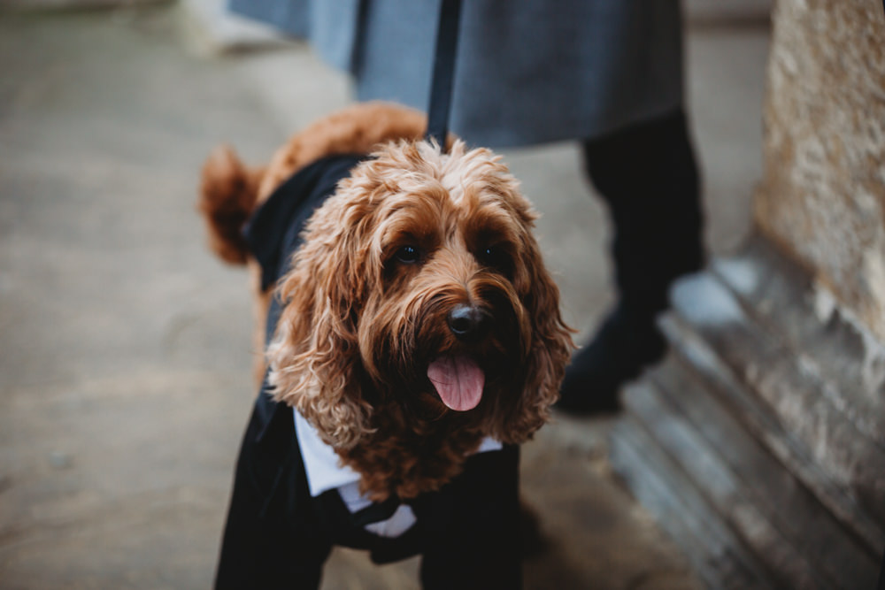 Dog Pet St Bart's Brewery Wedding Joseph Kinerman