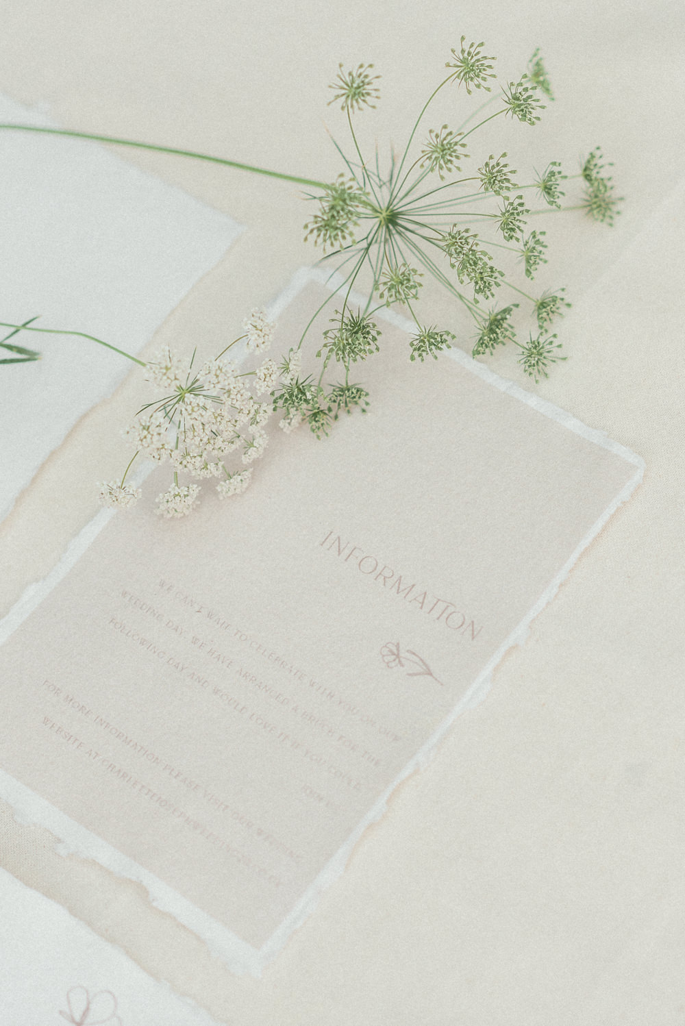 Stationery Invite Invitation Botanical Wax Seal Taupe UK Destination Wedding Hannah McClune Photography