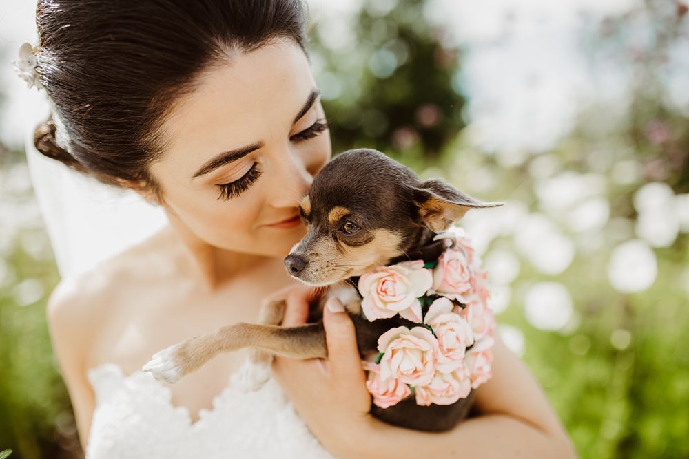 Dog Pet Greek English Wedding Holly Collings Photography