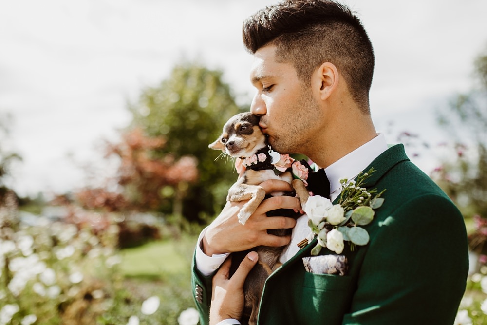 Dog Pet Greek English Wedding Holly Collings Photography