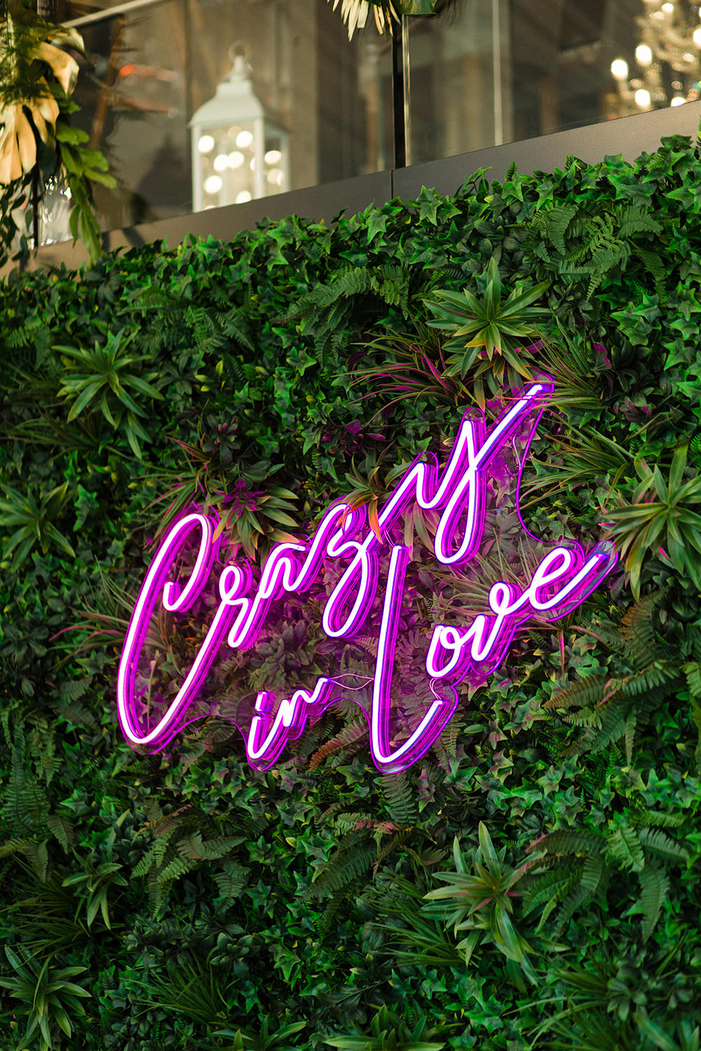 Pink Neon Sign Signs Signage Light Jungle Wedding Ideas Terri Pashley Photography