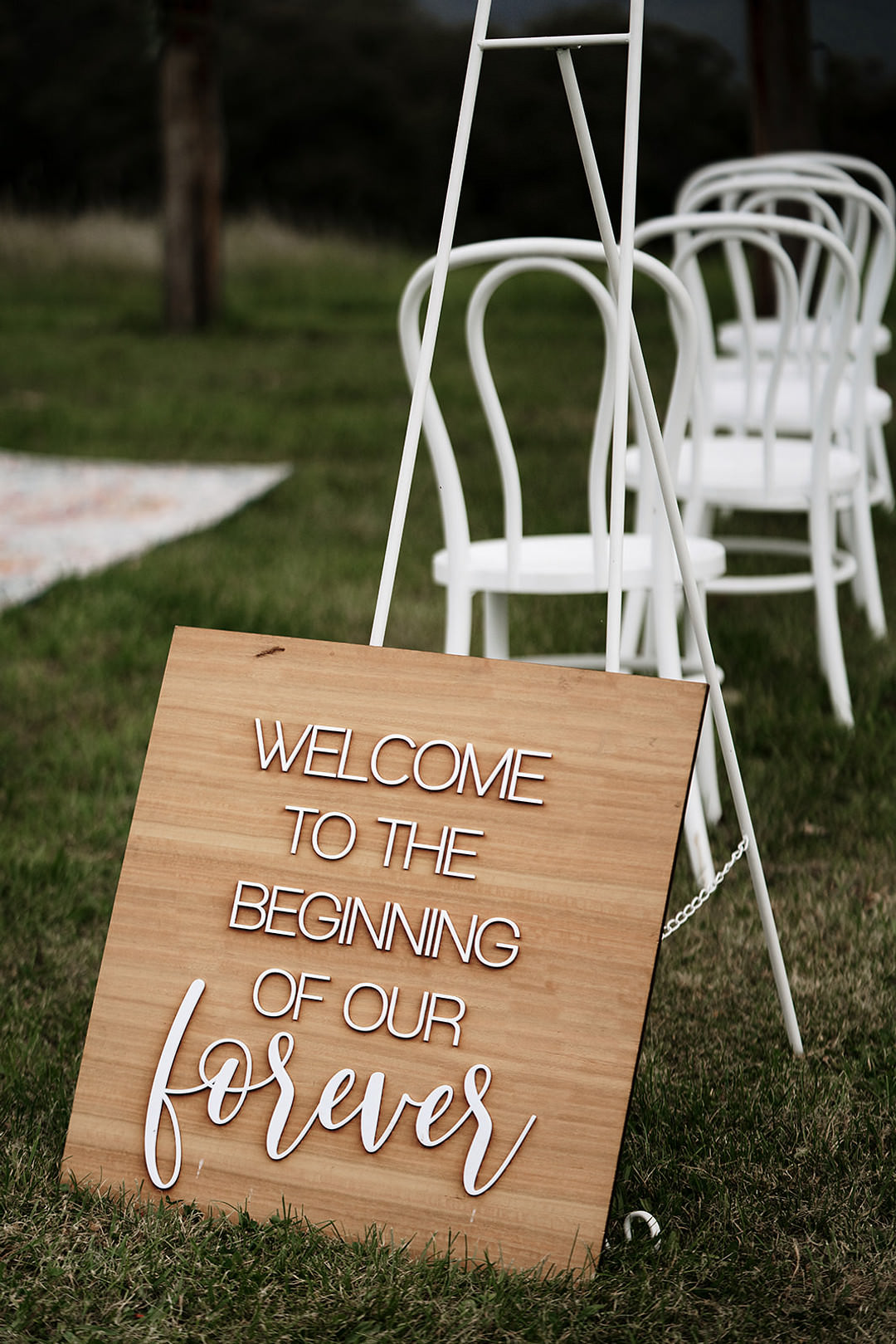 Sign Signs Signage Wooden Painted Mountain Elopement Petite Visuals