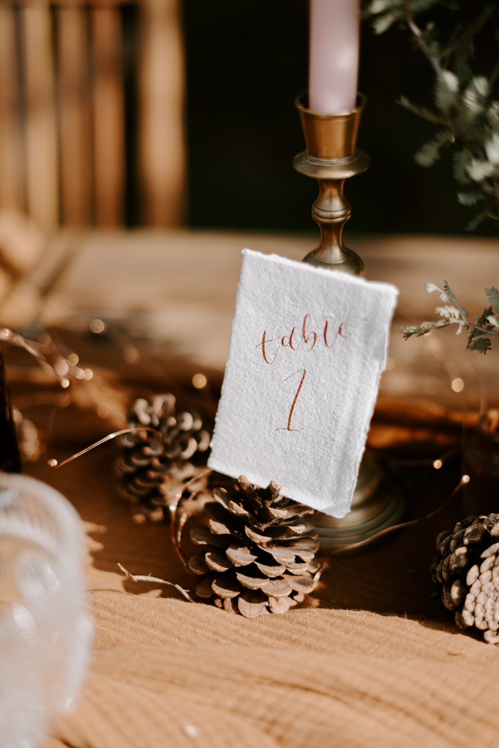 Pine Cone Table Number Burnt Orange Wedding Ideas Laura Williams Photography