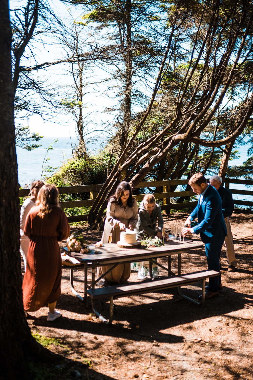 Olympic National Park Elopement The Foxes Photography