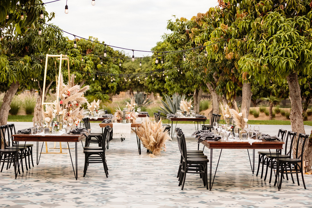 Outdoor Reception Festoon Lights Pampas Grass Decor Acre Baja Wedding Anna Gomes Photo