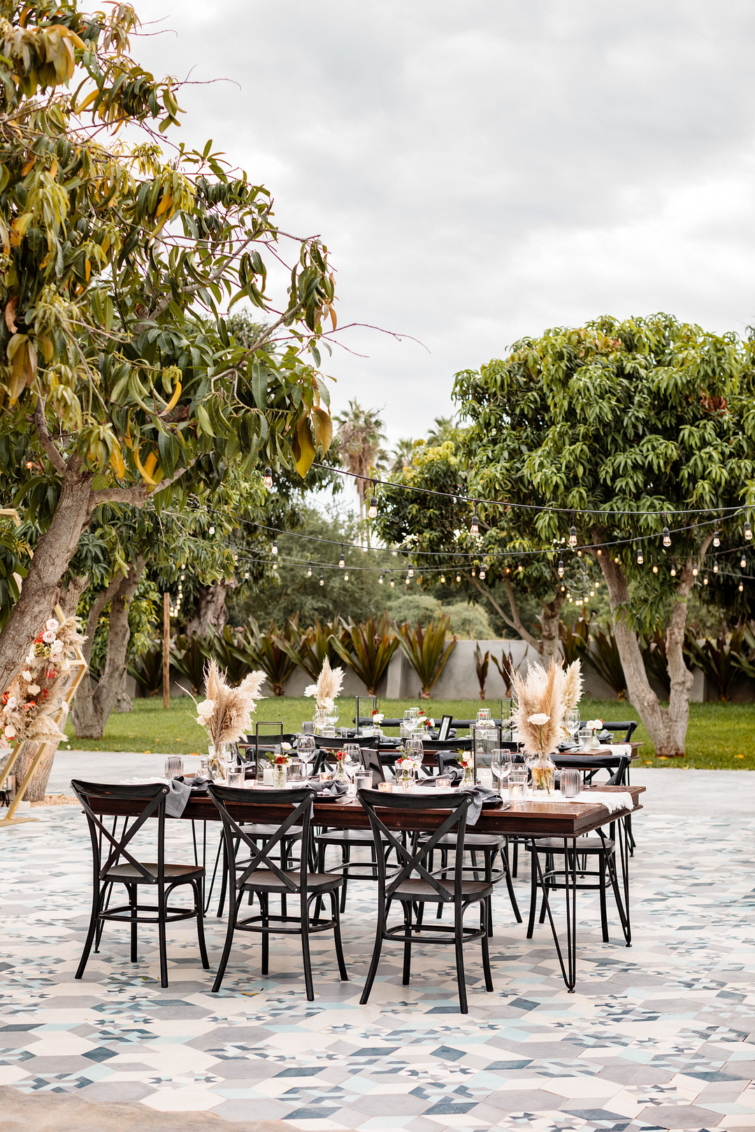 Acre Baja Wedding Anna Gomes Photo Outdoor Reception Festoon Lights Pampas Grass Decor