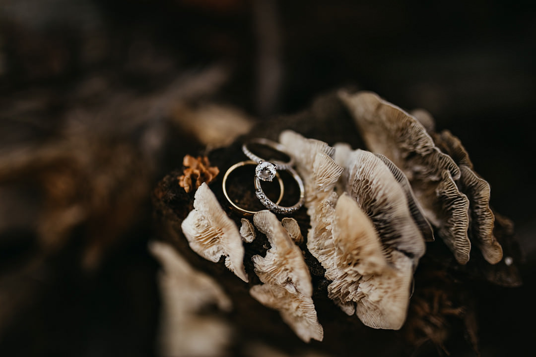 Rings Backyard Woodland Wedding A&M Photography