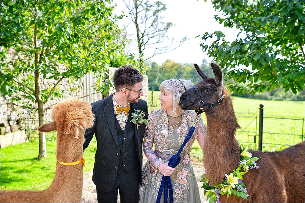 Llama Alpaca Pet Browsholme Hall Wedding Jules Fortune Photography