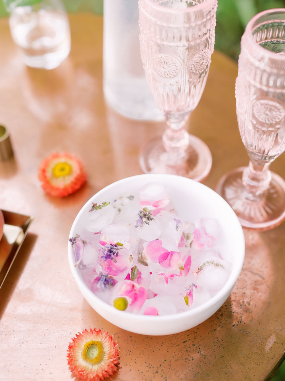 Ice Garden Picnic Wedding Heledd Roberts Photography