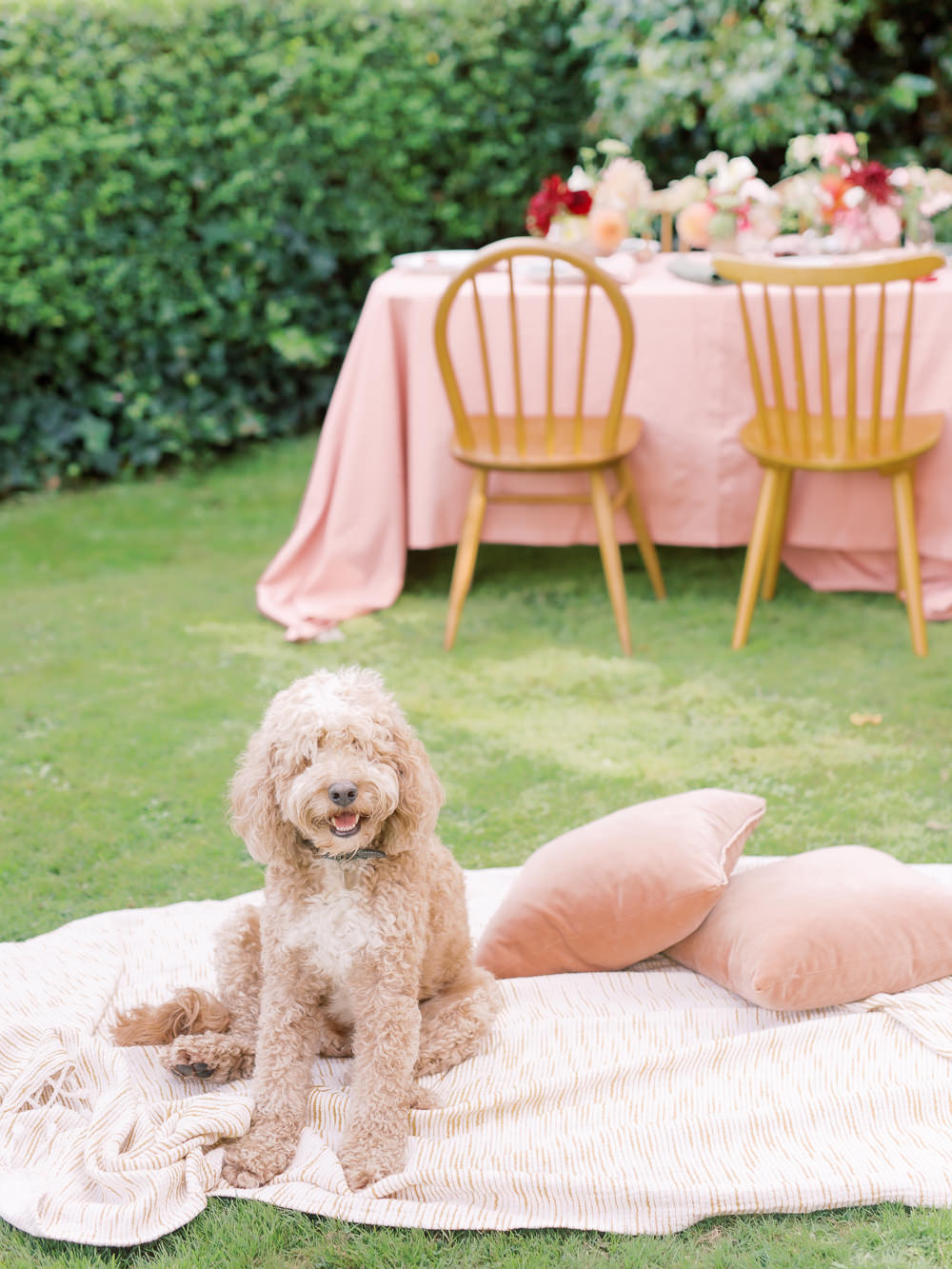 Garden Picnic Wedding Heledd Roberts Photography