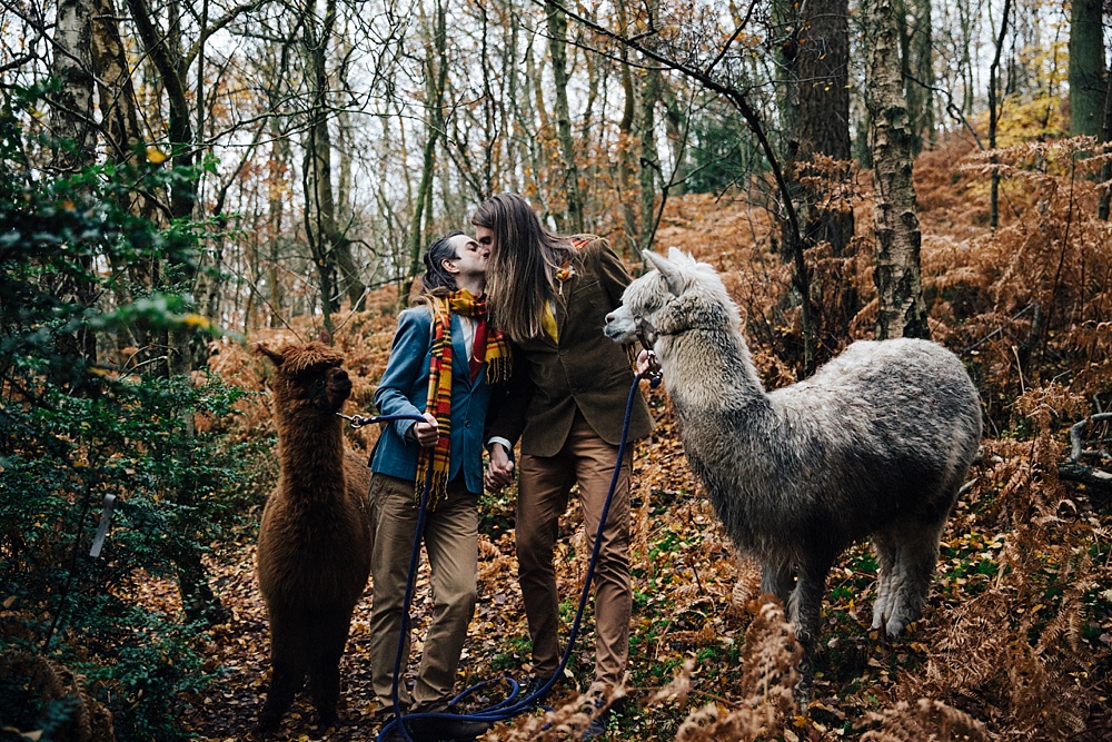 Alpacas Mustard Yellow Wedding Ideas Paola de Paola