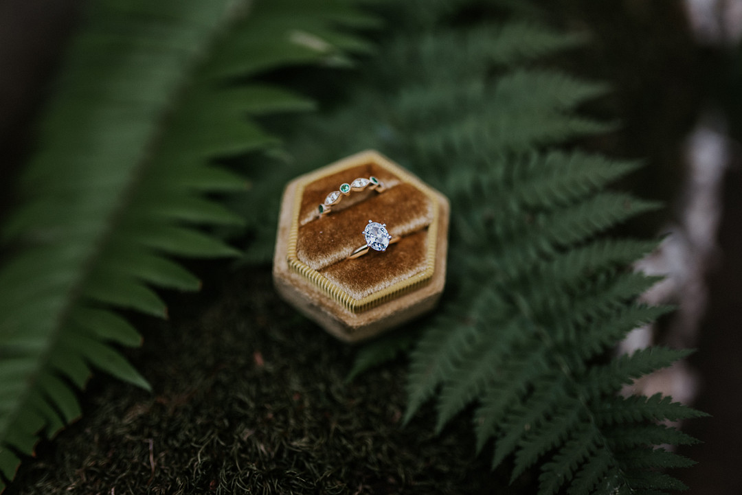 Redwoods Elopement Heather K Purdy Rings Bands Engagement
