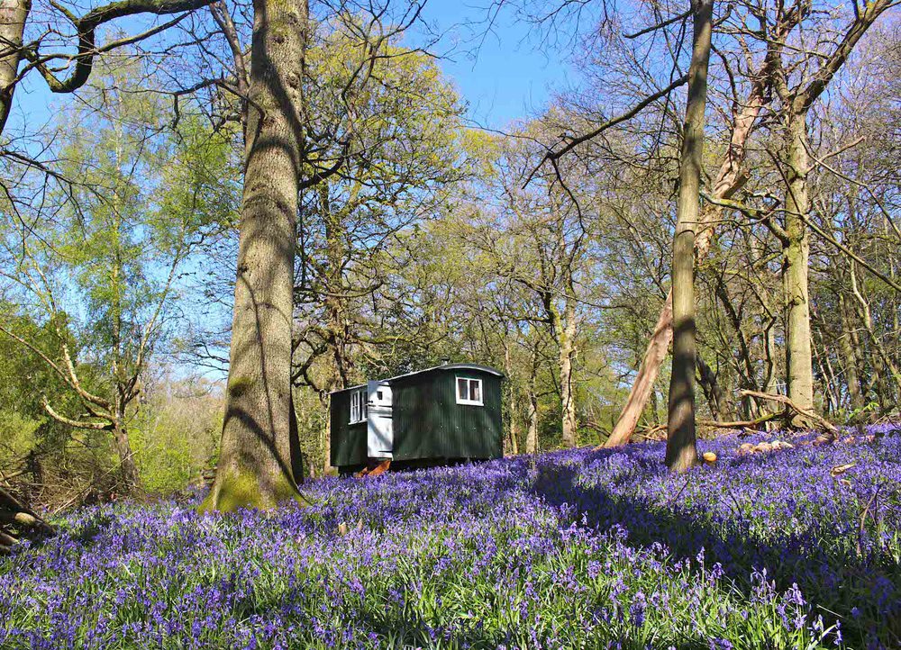 Woodland Wedding Surrey Venue The Green Escape