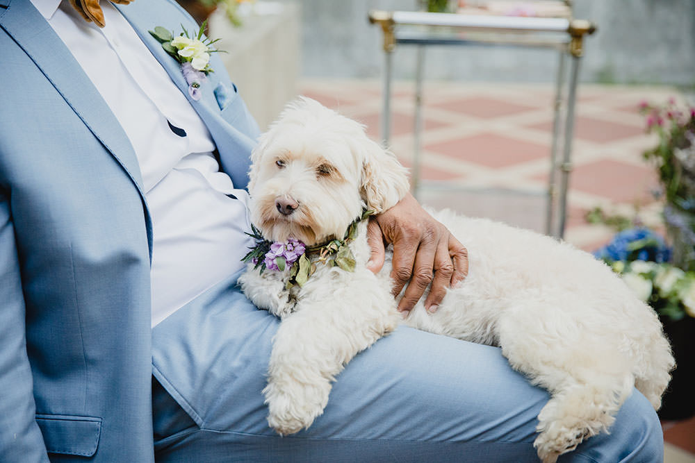 Art Wedding Ideas Maribel Farina Photography