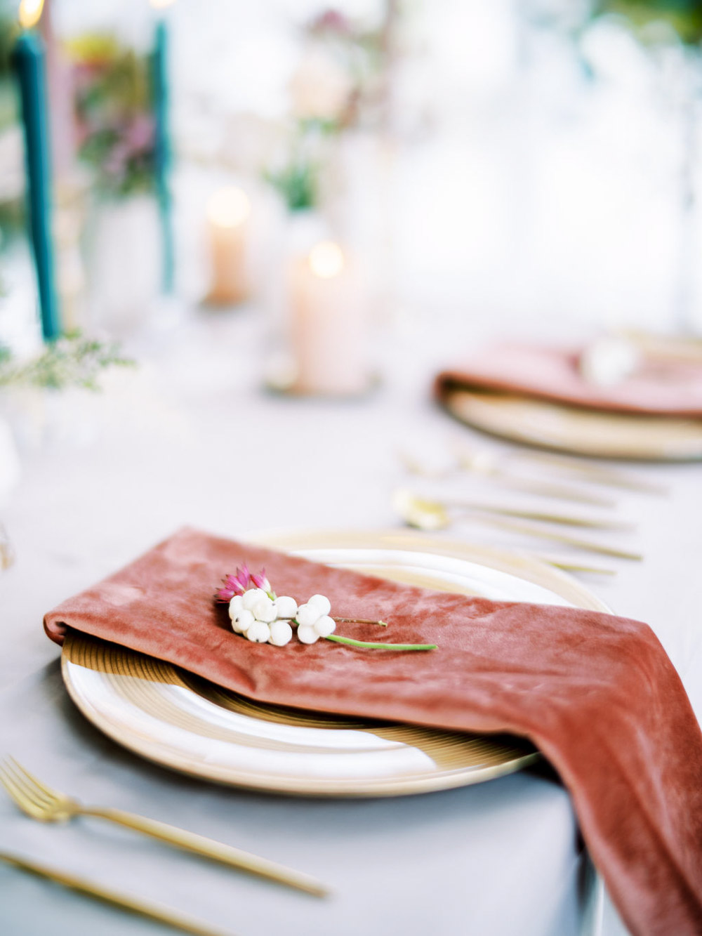 Place Setting Napkin Decor Wedding Dress Into The Light