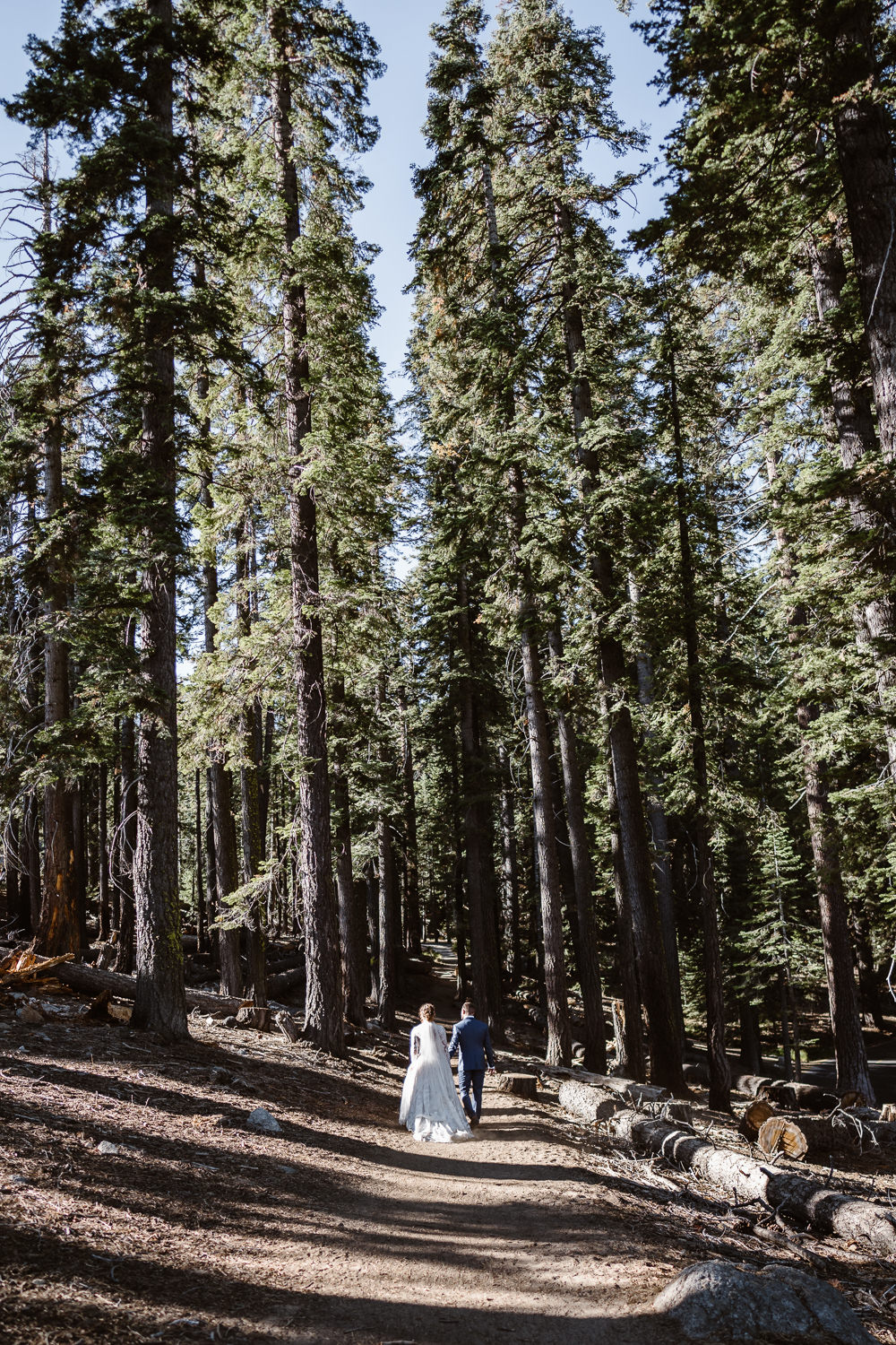 Glacier Point Wedding Vows and Peaks