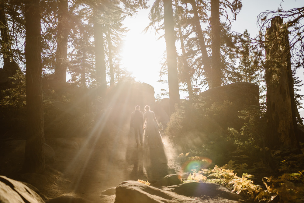 Glacier Point Wedding Vows and Peaks