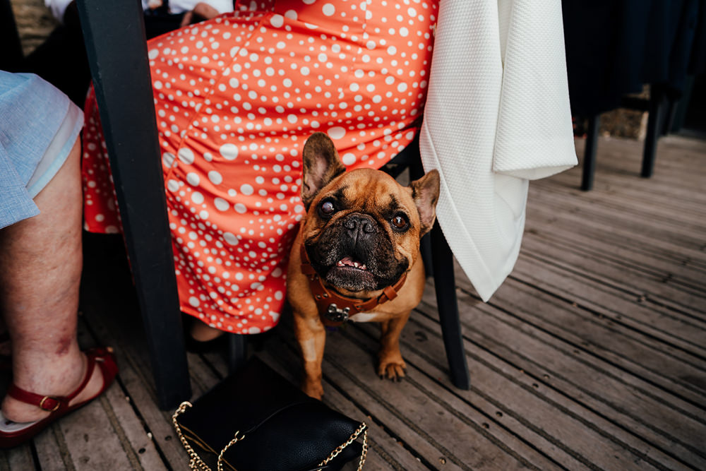 Portsmouth Wedding Angela Ward Brown