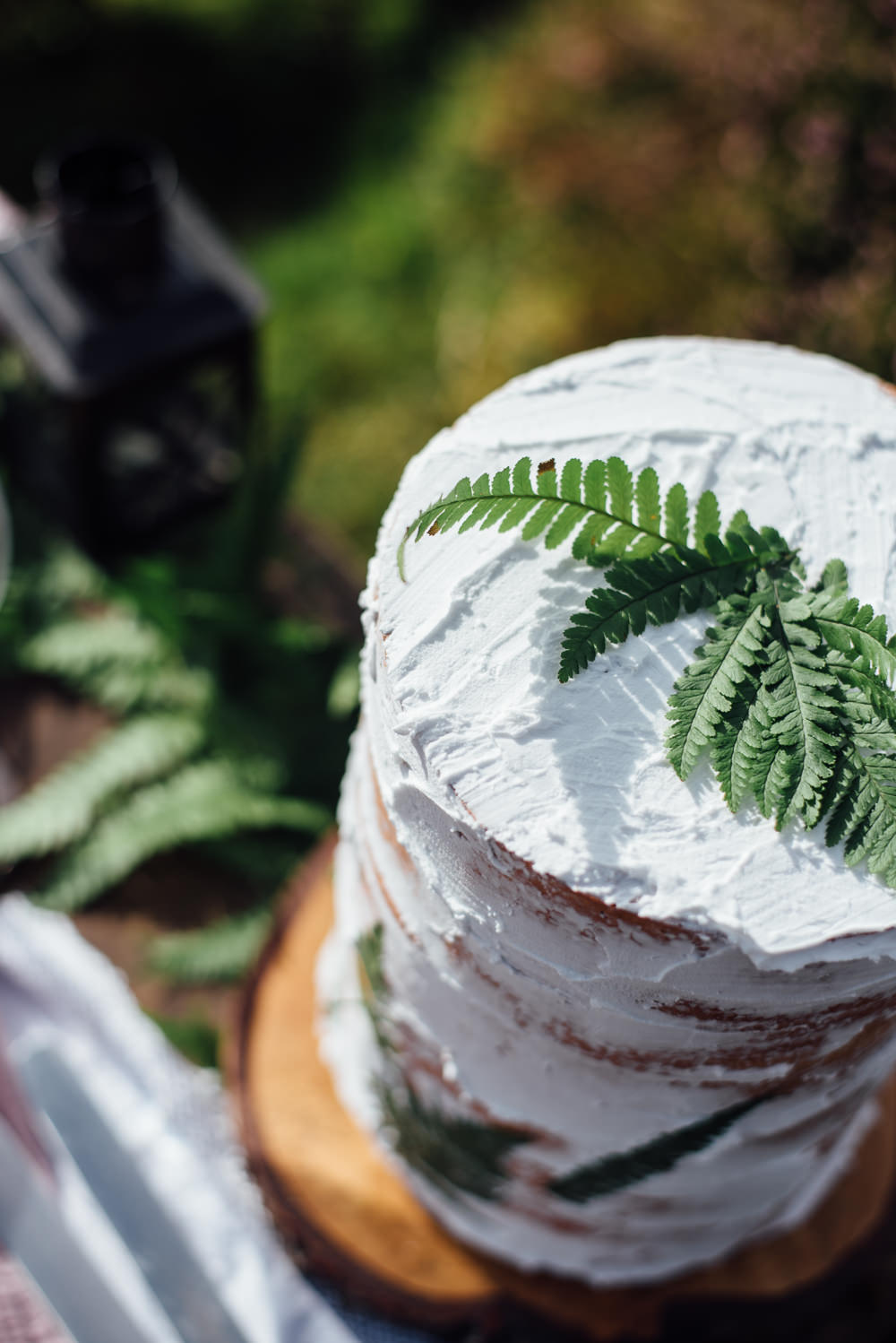 Semi Naked Cake Sponge Fern Yorkshire Moors Elopement Miss Whittingtons Photography