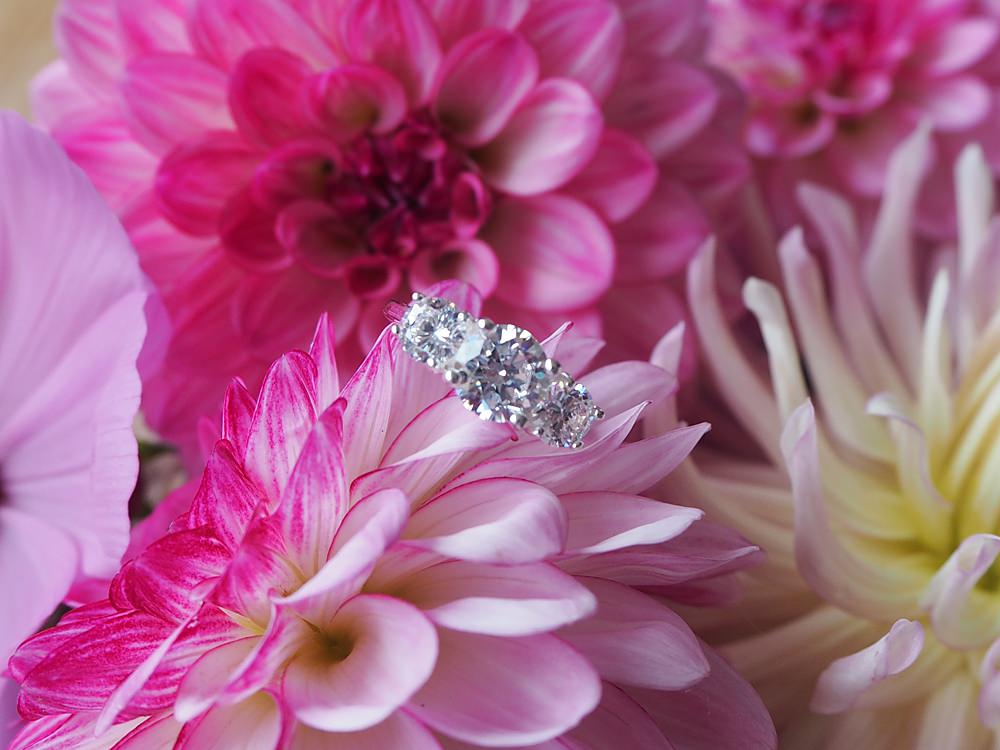 Placeholder Rings Engagement UK Proposal Temporary