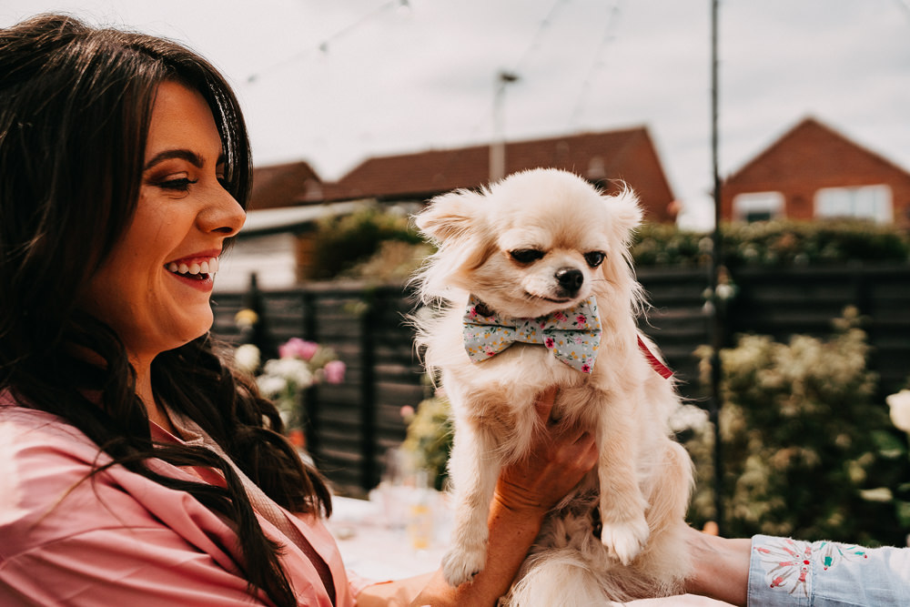 Dog Pet Bow Tie Wedding At Home Emilie May Photography