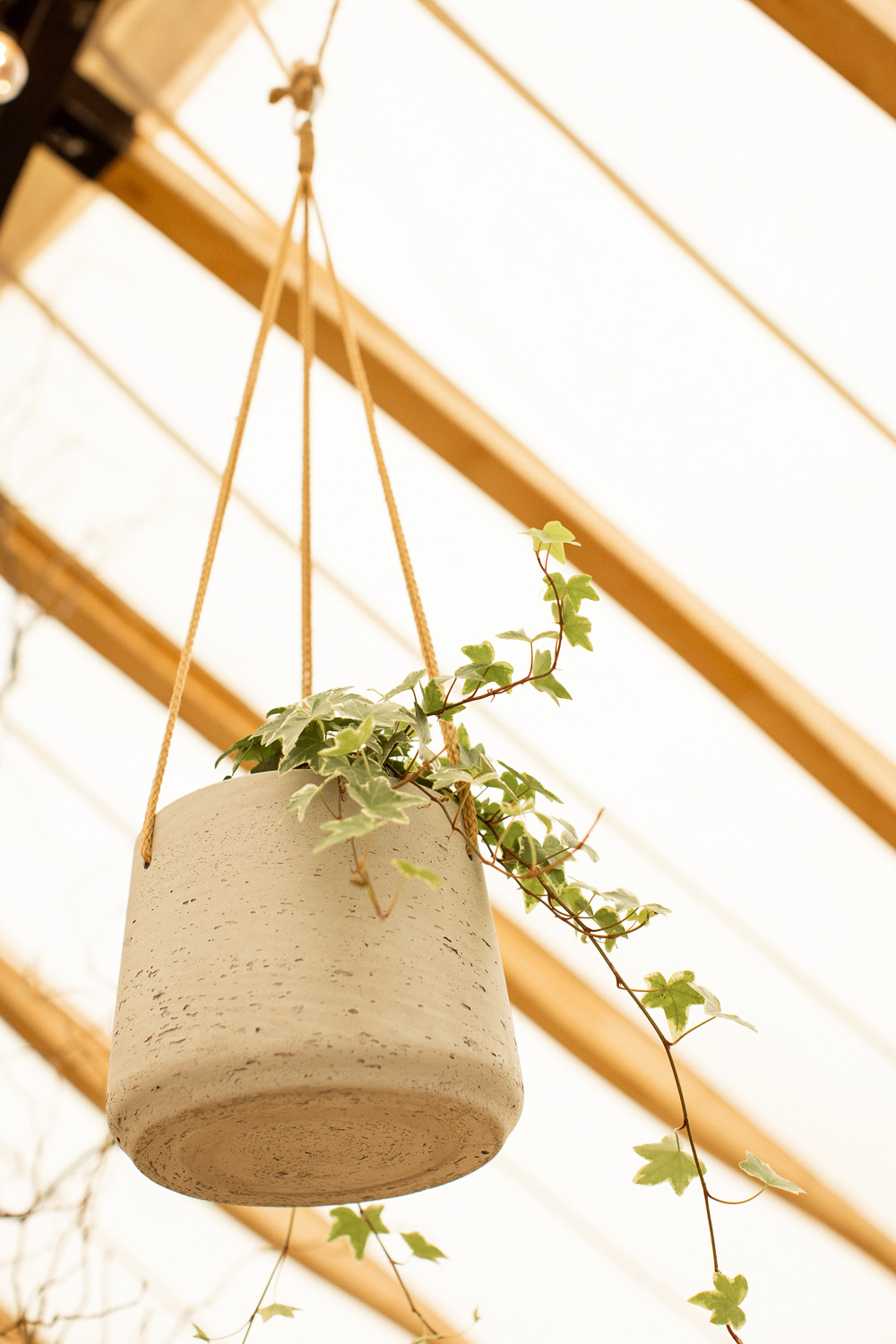 Hanging Planters Indoor Beacon Wedding Lottie Topping Photography