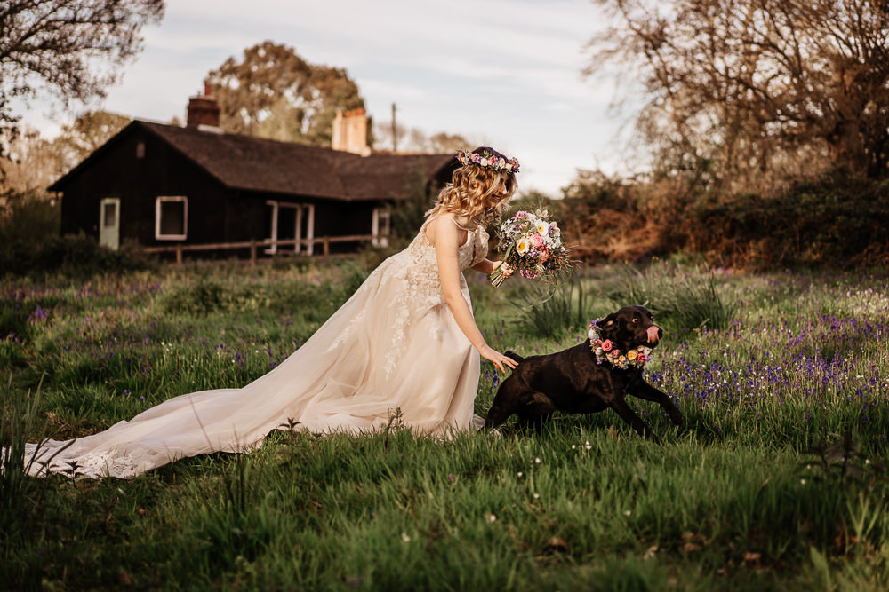 Bluebell Wood Wedding Ideal Imaging