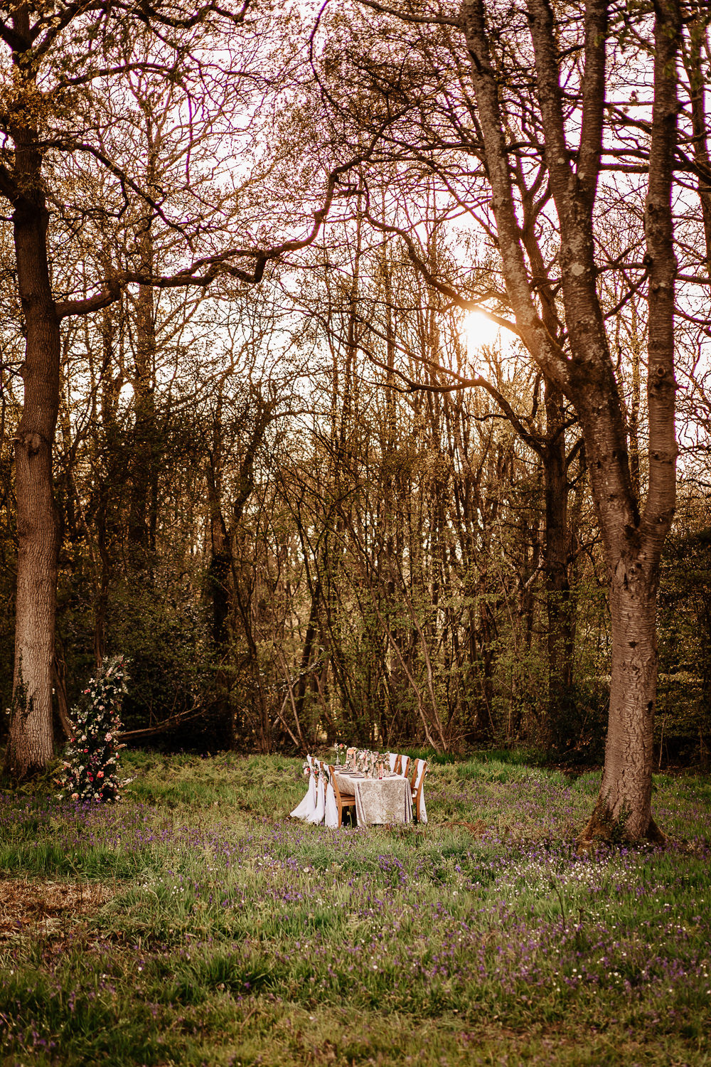 Bluebell Wood Wedding Ideal Imaging
