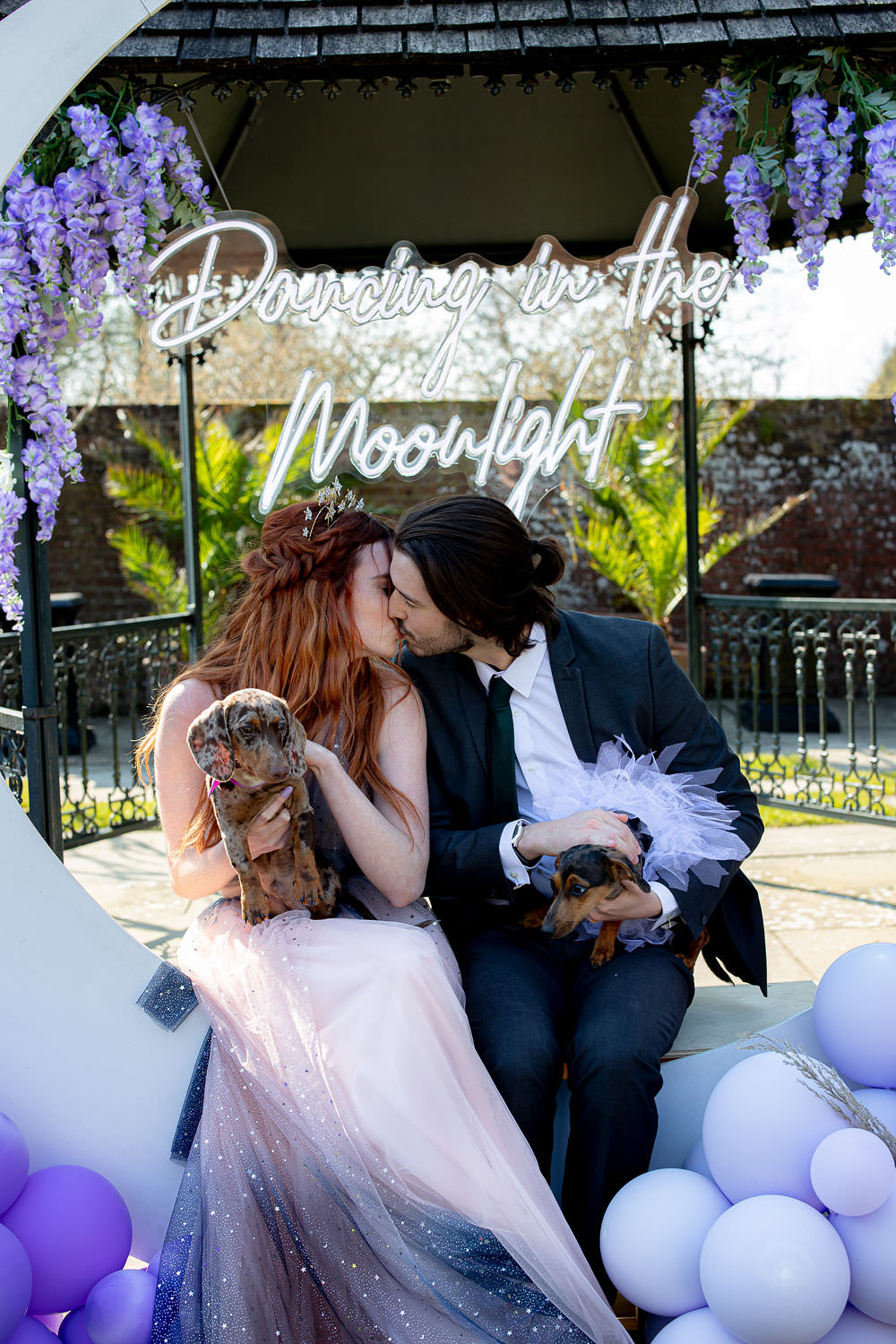 Puppy Pet Dog Moon Wedding Ideas Photography By Petrina