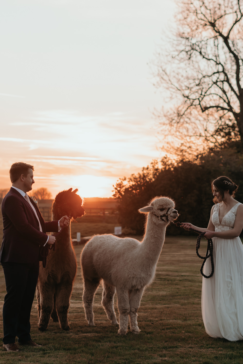 Alpacas Pizza Wedding Reception Becca Kerr Photography