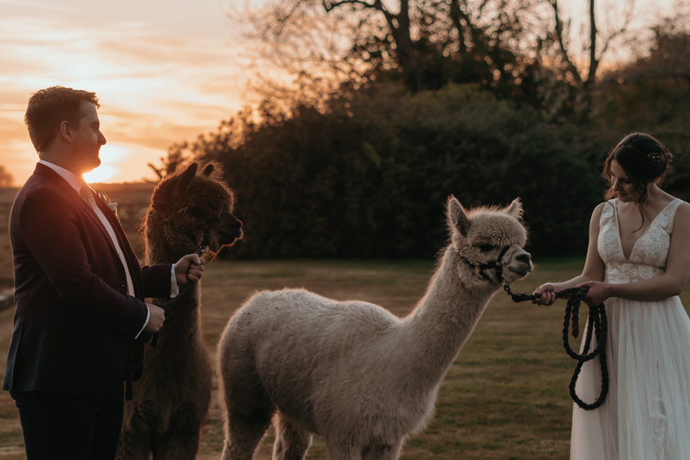 Pizza Wedding Reception Becca Kerr Photography