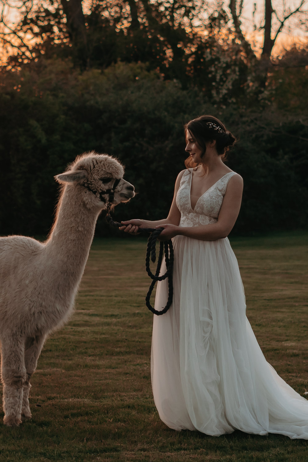 Pizza Wedding Reception Becca Kerr Photography