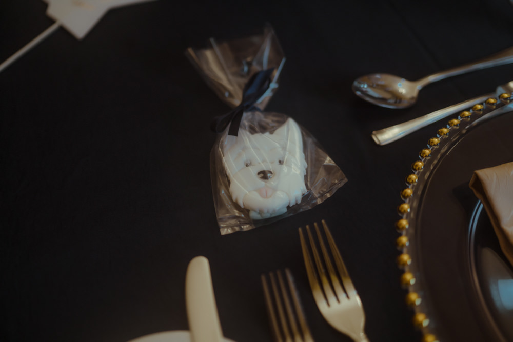 Dog Cookie Favour Dalmahoy Hotel Wedding Belle Art Photography