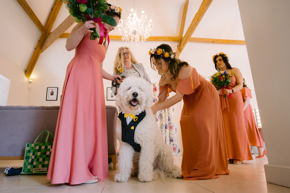 Dog Pet Meadowscape Wedding Rich Howman Photography