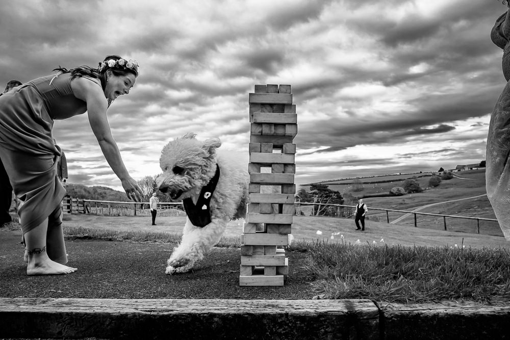 Meadowscape Wedding Rich Howman Photography
