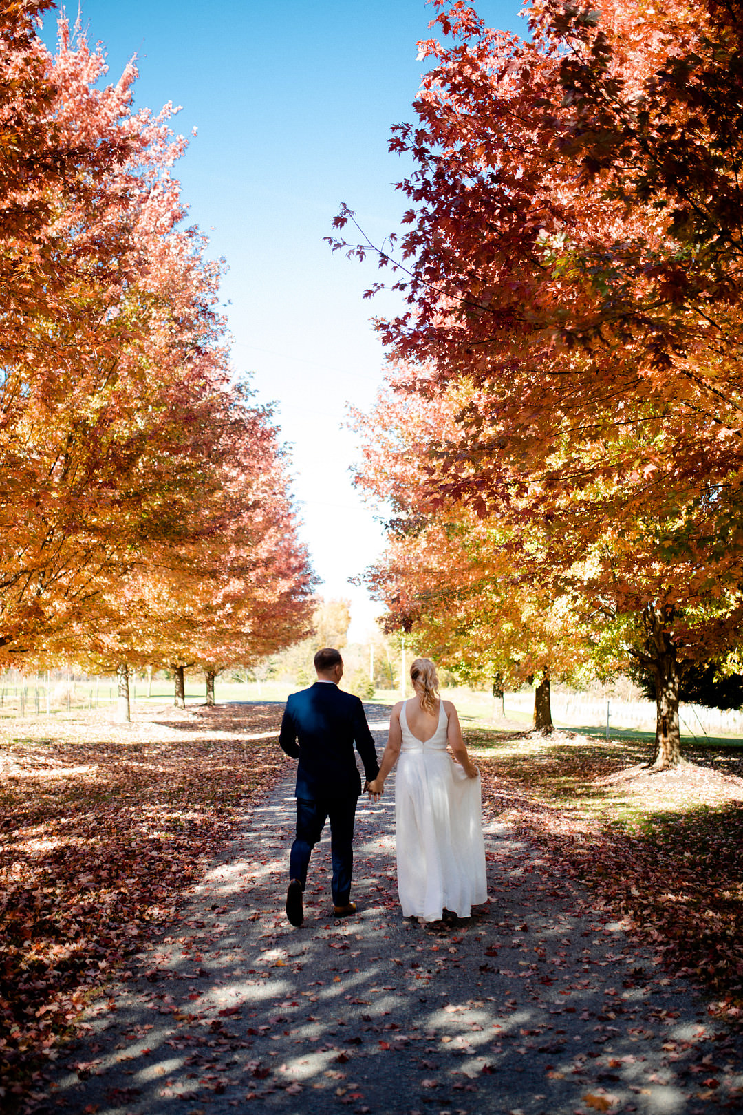Autumn Trees Leaves Pittsburgh Fall Wedding Alexa Frankovitch Photography