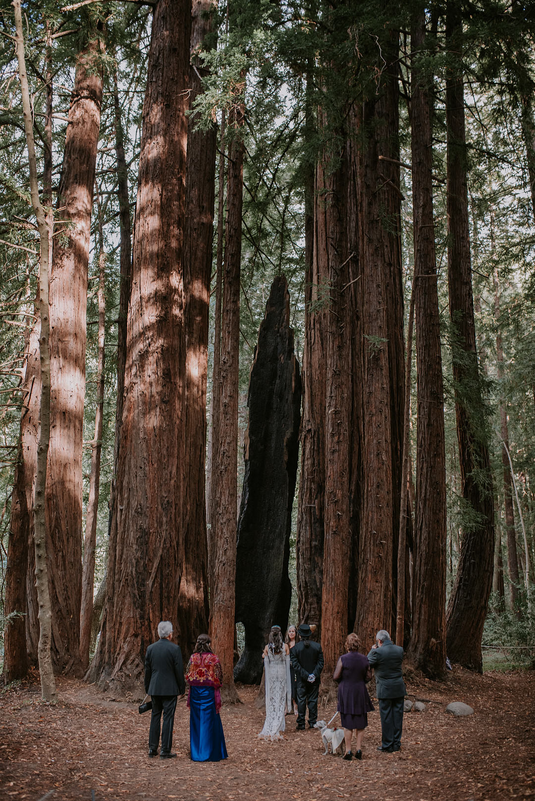 Big Sur Elopement Heather K Purdy