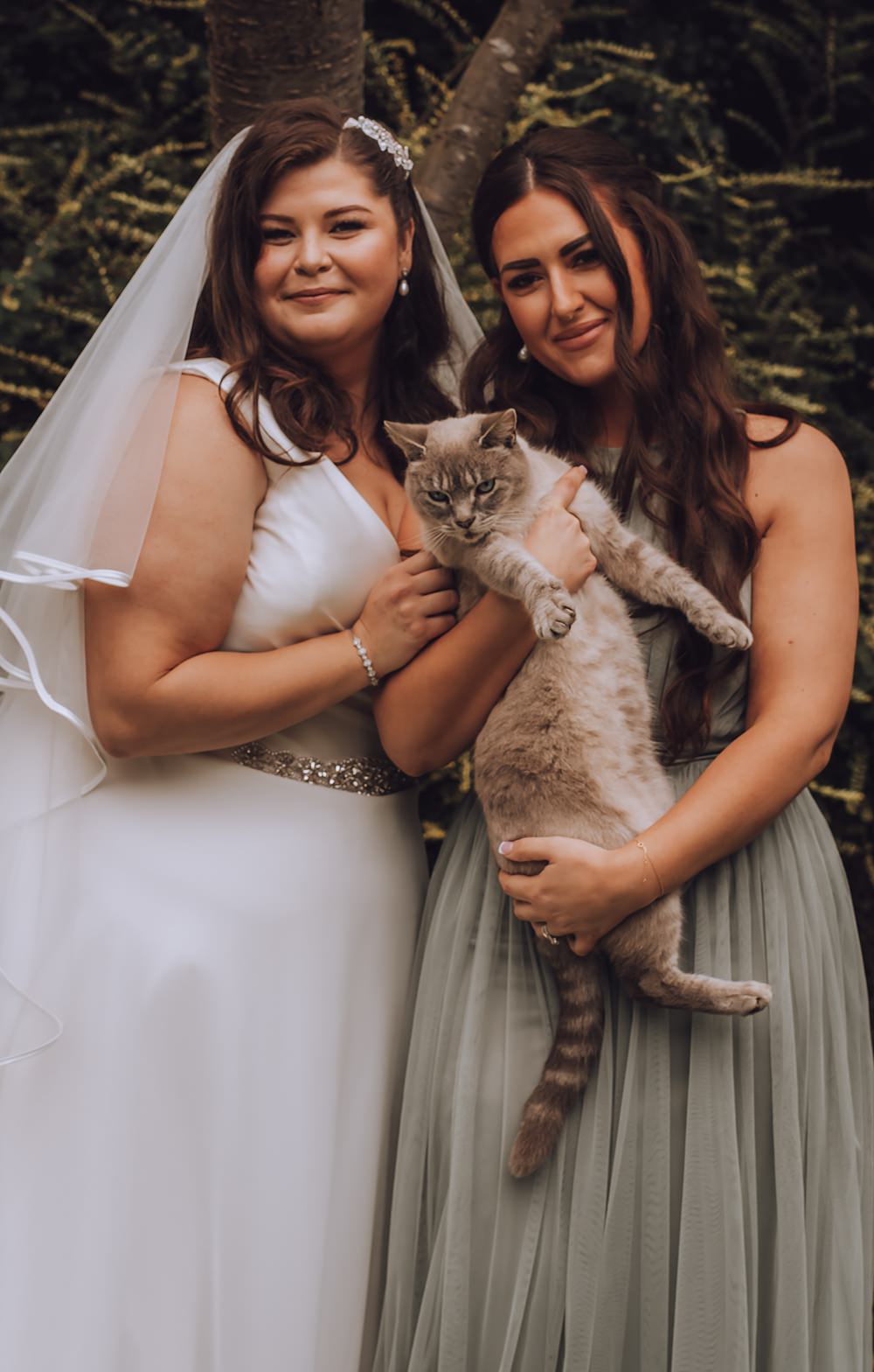 Cat Pet Blue Pigeons Wedding Charlotte Claricoat Photography